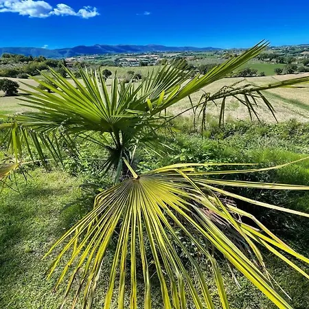 2 Traditional Farmhouses Contain 6 Two Bedroom Apts - Amazing Views All Around * Colle Umberto (Umbria)